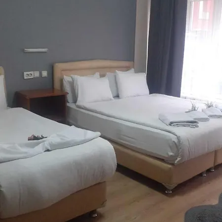 Cesmeli Hotel Bursa